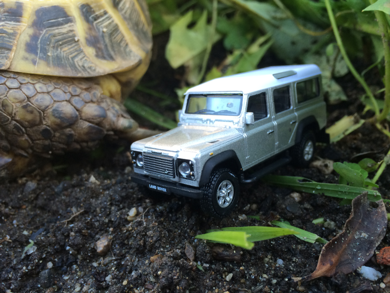 Illustration for article titled Tortoise Thursday: ORAT Hongwell 1:72 Edition